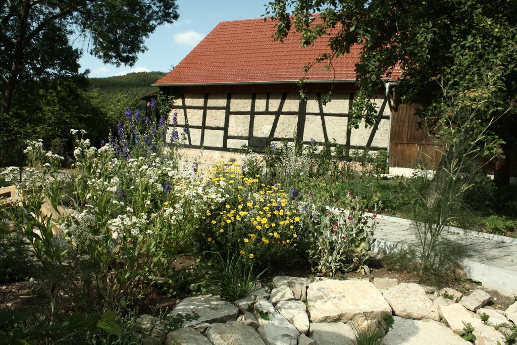 Cafe Landart Im Thueringer Finistere Apartment Plaue  Bilik gambar