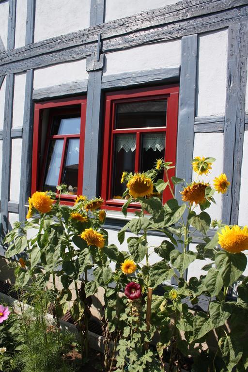 Cafe Landart Im Thueringer Finistere Apartment Plaue  Luaran gambar